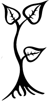 Plant.webp